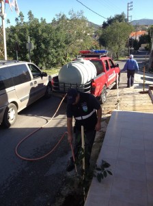 Reforestation-Day-31