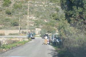 Reforestation-Day-5