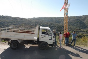 Reforestation-Day-8