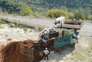 Reforestation-Day-9
