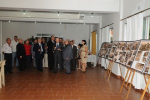 Exhibition-8
