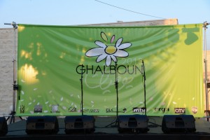 Music-Festival-1