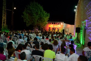 Music-Festival-17