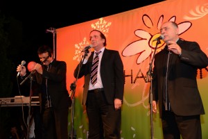 Music-Festival-8