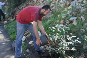 Reforestation-Day-13