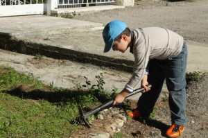 Reforestation-Day-15