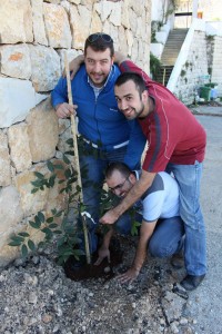 Reforestation-Day-16
