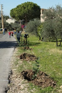 Reforestation-Day-17