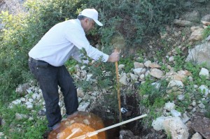 Reforestation-Day-4