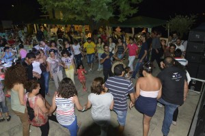Music-Festival-37