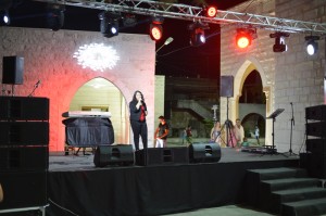 Music-Festival-8 
