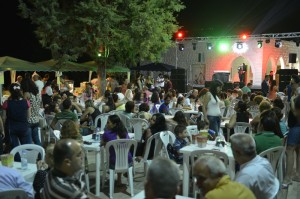 Music-Festival-9 