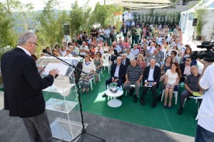 Art-Festival-14