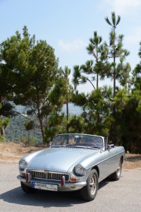 Car-Show-6