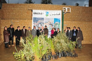 Plantation-day-24