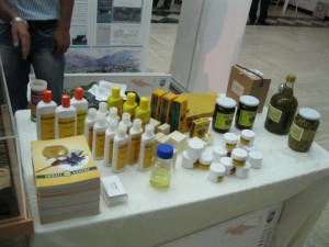 Unesco-Forum-3