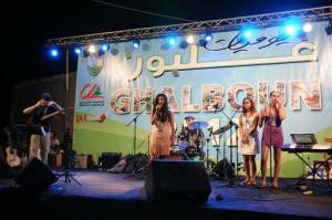 Music-Festival-14