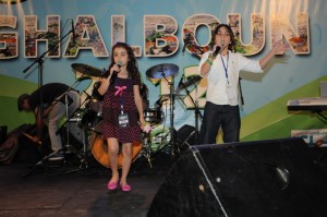 Music-Festival-9